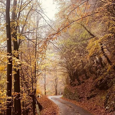 House For Relaxing Holiday 度假居 *