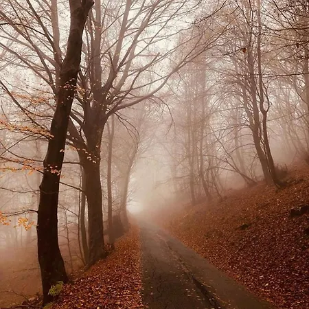 House For Relaxing Holiday *