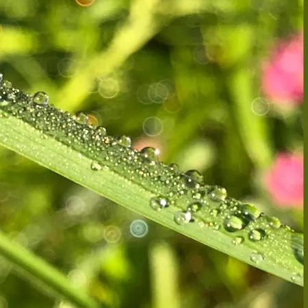 House For Relaxing Holiday Casasco Intelvi