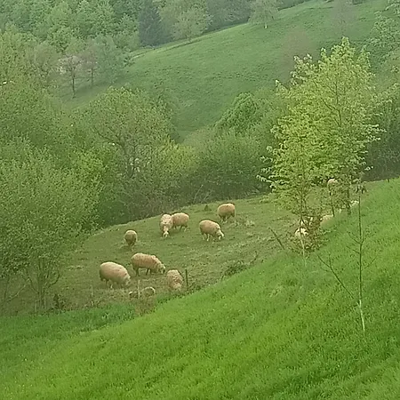 別荘 House For Relaxing Holiday *