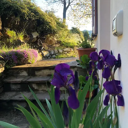 House For Relaxing Holiday 別荘 Casasco Intelvi