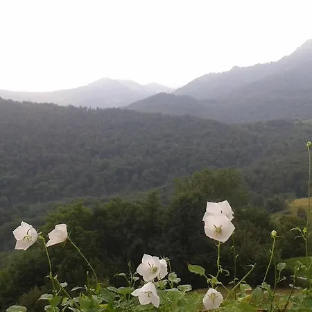 House For Relaxing Holiday * Casasco Intelvi