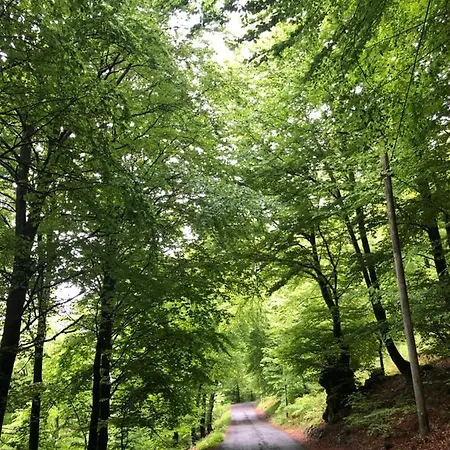 House For Relaxing Holiday *