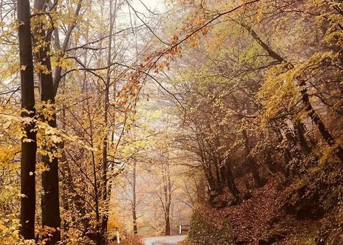 House For Relaxing Holiday Σπίτι διακοπών *